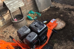 Tolleshunt Tree Care