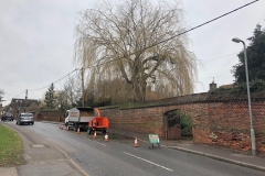 Tolleshunt Tree Care