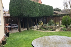 Tolleshunt Tree Care