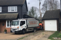 Tolleshunt Tree Care