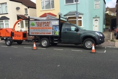 Tolleshunt Tree Care