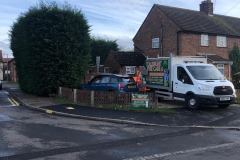 Tolleshunt Tree Care
