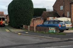 Tolleshunt Tree Care