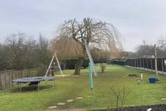 Tolleshunt Tree Care