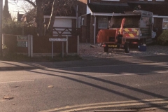 Tolleshunt Tree Care
